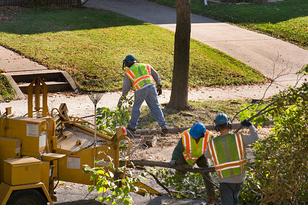 Best Landscape Design and Installation  in Dallas, GA